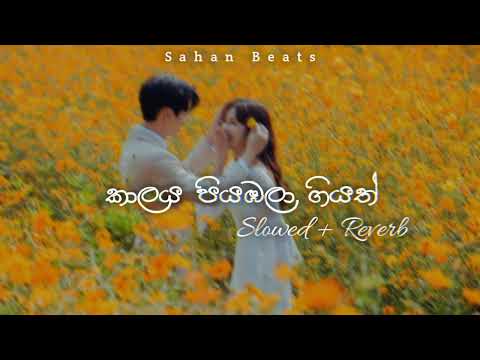 Kalaya Piyabala Giyath (කාලය පියඹලා ගියත්) | Slowed & Reverb | Sahan Beats