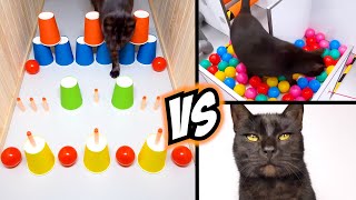 Extreme Maze Challenges for Real Life Pet Cat