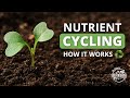Nutrient Cycling | Soil Food Web School