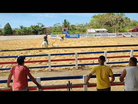 GRANDE VAQUEJADA PARQUE ARTHUR GONZAGA TUNTUM MA