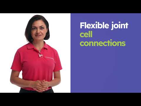 SunPower Performance 7 - Key design features