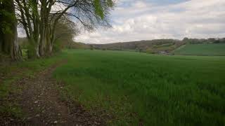 ChinnyVision Summer 2023 Update