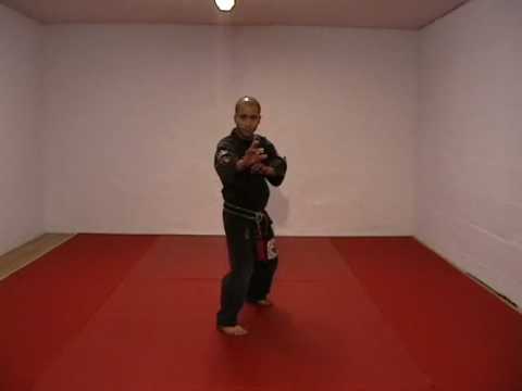 CASA DE KENPO - AMERICAN KENPO - STANCE SET 2