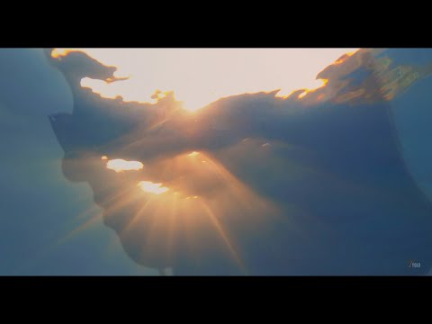 Deeper than the ocean - #deepemotional #ocean #bonnie #grace #tonyyolo #love