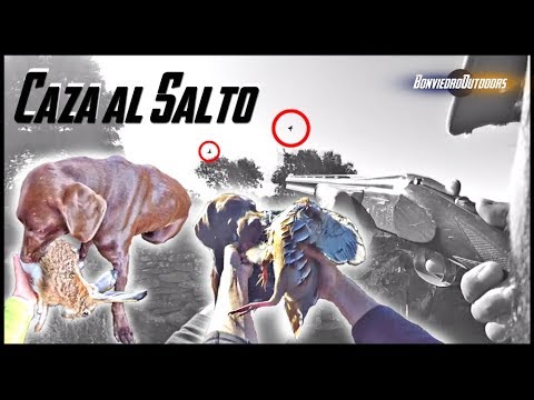 Caza de BECADAS, LIEBRES, PERDICES y algunas SORPRESAS más