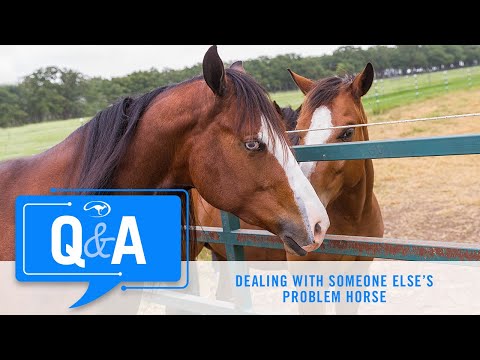 Q&A With Clinton Anderson: Dealing With Someone Else's Problem Horse