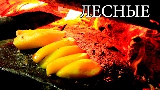 Дикая кухня - КАМЕННАЯ СКОВОРОДА | Hot Stone Cooking