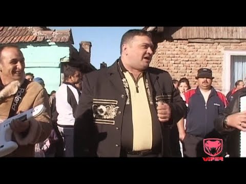 Tibisor Gheza - Caleasca cu 7 cai