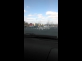 Seagulls In Target Parking Lot
