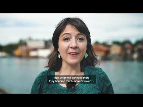 4 steps to understand Norwegians - Part 1: "The wall of sun" and "outdoor beer"