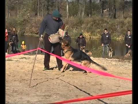 Dog Chigirin 2010 - Clip.