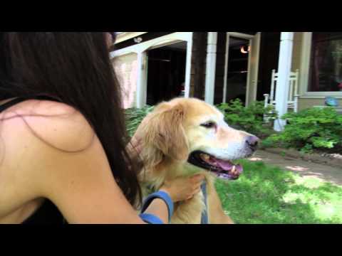 SABRE Dog Spray -- Health Canada Approved -- Professional Model with Flip Top