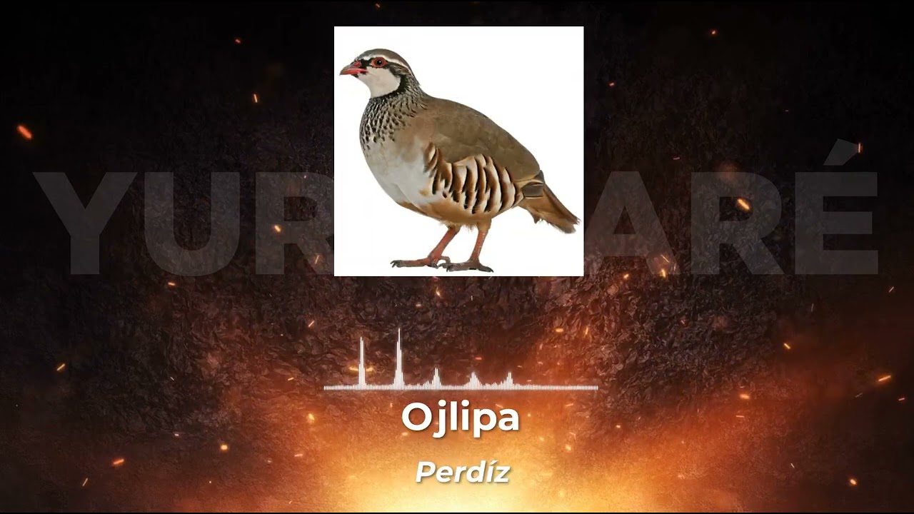 Aprendamos las vocales en yurakaré