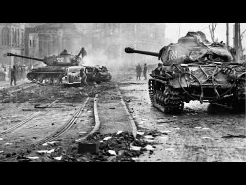 Berlino - Dente di Lupo