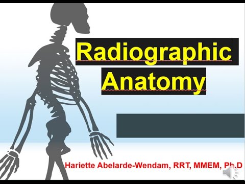Radiographic Anatomy  Part 1
