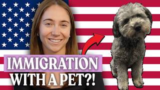 Moving to America With a Pet (Everything You Need to Know)