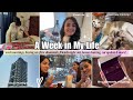 A Week In My Life💫: work meetings, buying my first DIAMONDS, friends nightout, house hunting & more!
