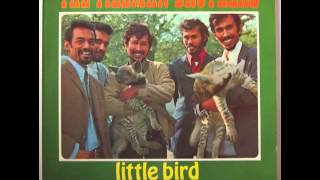 The Tielman Brothers - Little Bird video