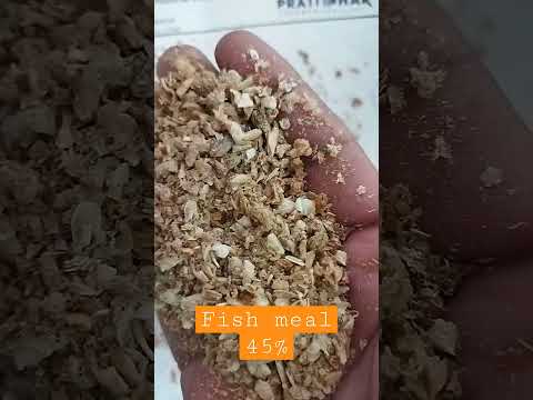 Fish Meal, Sterilized Fish Meal Powder