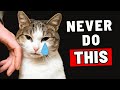 10 Things A Cat Will NEVER Forgive