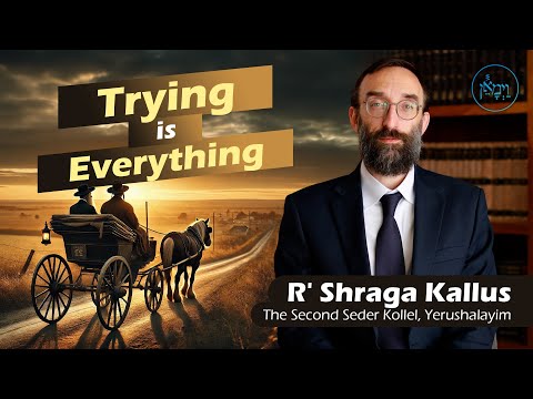 Trying is Everything | Rabbi Shraga Kallus