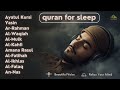 Quran Recitation In A Peaceful Voice I Ayatul Kursi Yasin Arrahman Al Waqiah Al Mulk Alaa Aqel