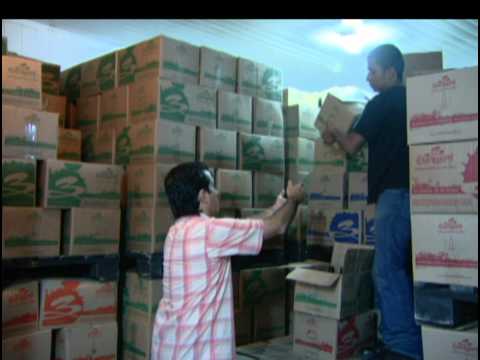 Resumen de noticias del viernes 07 de noviembre [Noticias] - TeleMedellin