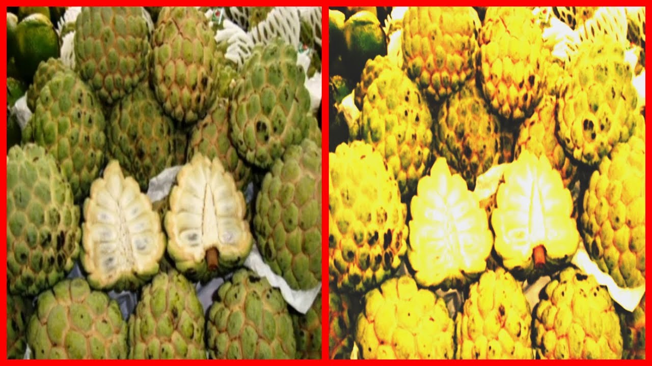 Sonhar com pinha FRUTA SIGNIFICADOS