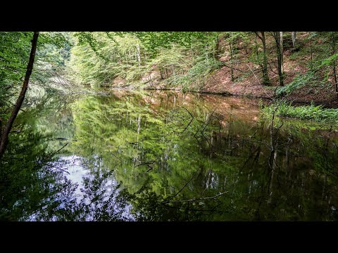 Lacul de la Gostila, cel mai frumos din Sălaj. La Șura Pinții, și nu prea