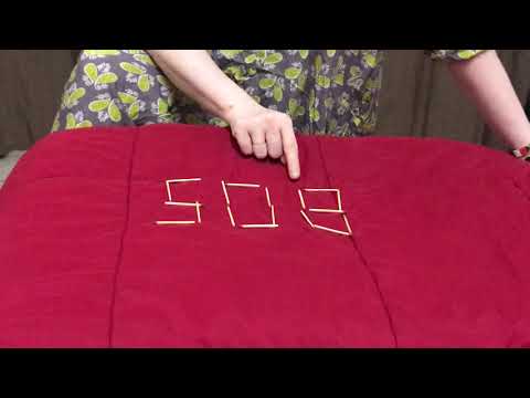 PYP Coordinator Introduces: "Sandy's Surprise Episode 8"