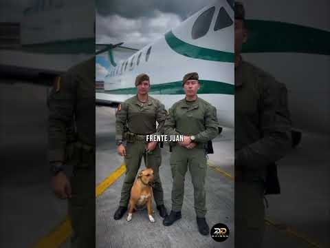 EJÉRCITO DESMANTELA LABORATORIO DEL ELN Y GOLPEA RENTAS ESTIMADAS EN 1,5 MILLONES DE DÓLARES AL MES