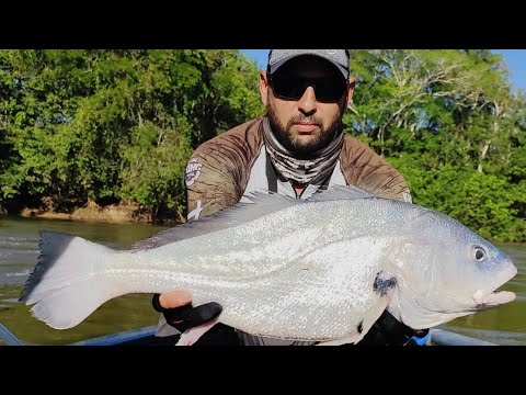 Rio pimenta Bueno Rondônia..em época de seca fica muito perigoso navegar aqui 