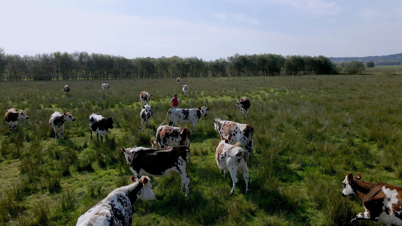 EAFRD financial instruments in support of young farmers
