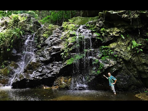 FIELD TRIP WITH PATRICK BLANC IN TANZANIA - ULUGURU, UDZUNGWA & MIKUMI