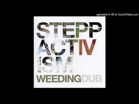 [Weeding dub] - 02 - No frontiers (remix by Vibronics feat. Naïma 'Dubians' Mansri