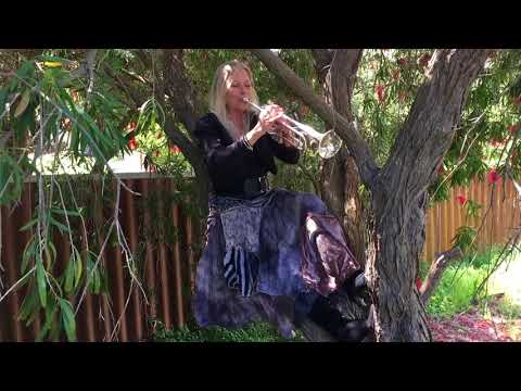 IL SILENZIO  - COVER - TRUMPET