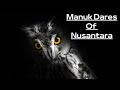 Manuk Dares Owls Burung Pembawa Kematian