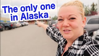 ONLY ONE WE HAVE | Violett Vlogs