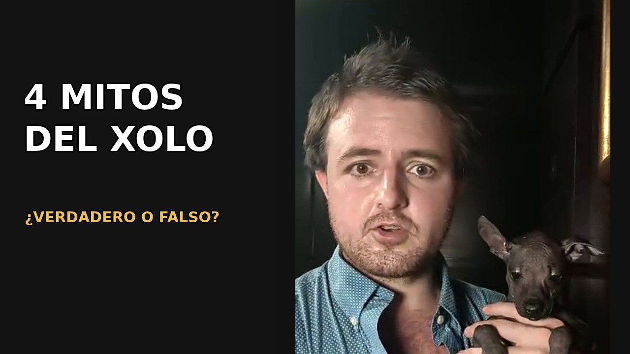 Xilonen Ramírez durante el episodio Trivia Xolo: 4 mitos con Xilonen Ramírez