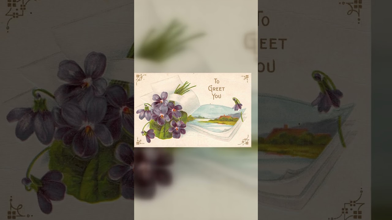 P.C. 220, Divided Back, Floral Greeting, 1911 Postmark Video