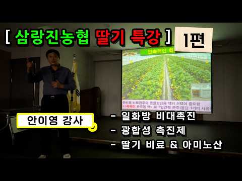 [경남 밀양] 딸기 생육 및 병충해 방지! 안이영 강사 딸기 특강(1편)
