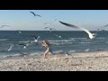Woman On Beach Nearly Gets Attacked By Flock Of Aggressive Seagulls