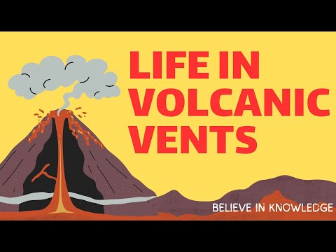 How Life Thrives in Volca - Unseen Worlds