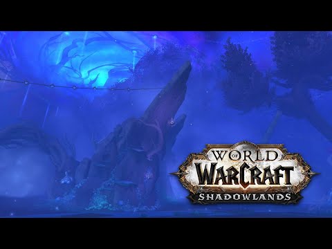 Mists of Tirna Scithe - The Maze