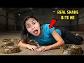 Wild Challenge Gone Wrong Real Footage Inside