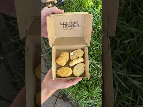 I Tried Ice Cream In Iowa