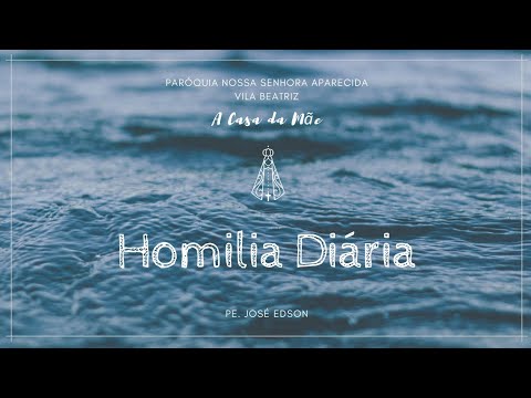 Homilia Diária - 11/07/2020