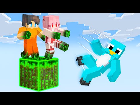 Locked On ONE HACKER Block in Minecraft