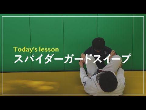 初心者必見‼︎スパイダーガードからのスイープ。BJJ