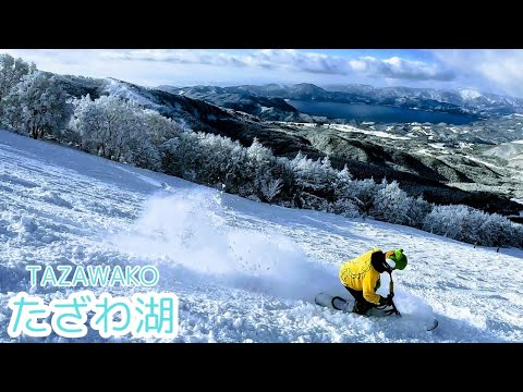秋田県 たざわ湖スキー場に✨絶景✨見ながら上から下まで🏂⛷️景色、雪質、グルメまで最高だったよ😋(2024.12.30)